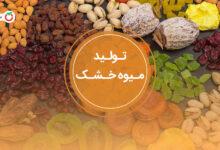تولید میوه خشک