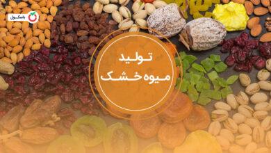 تولید میوه خشک