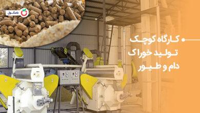 کارگاه کوچک تولید خوراک دام و طیور