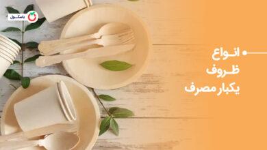 انواع ظروف یکبار مصرف