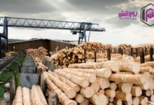 سیر تا پیاز واردات چوب به ایران   سود، سرمایه و مراحل.webp