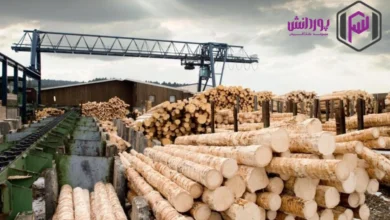 سیر تا پیاز واردات چوب به ایران   سود، سرمایه و مراحل.webp