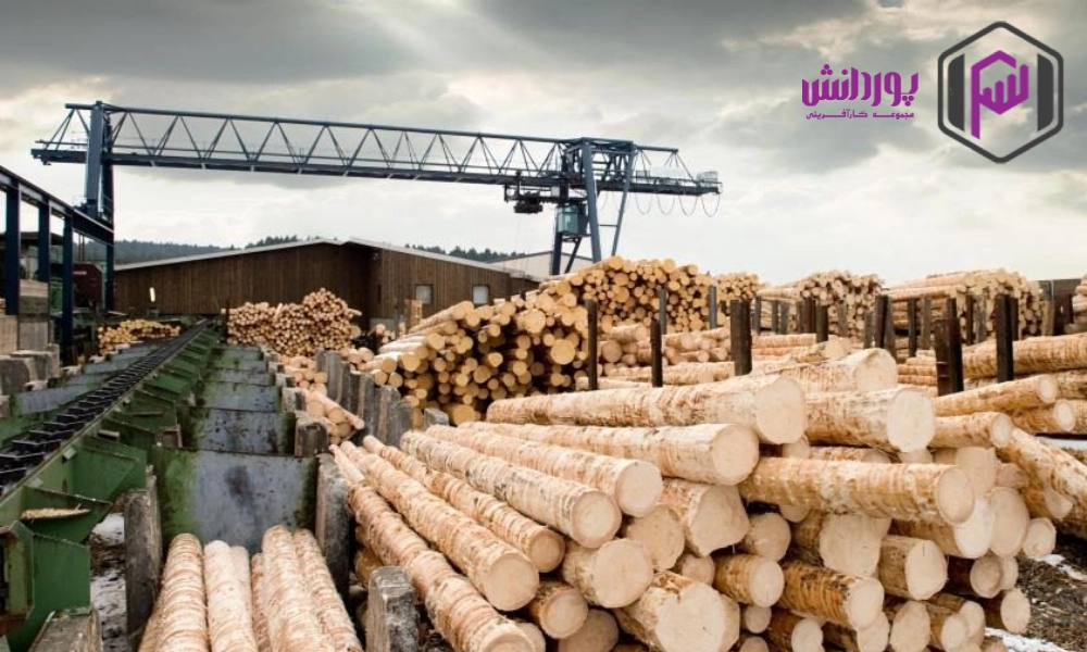 سیر تا پیاز واردات چوب به ایران   سود، سرمایه و مراحل.webp